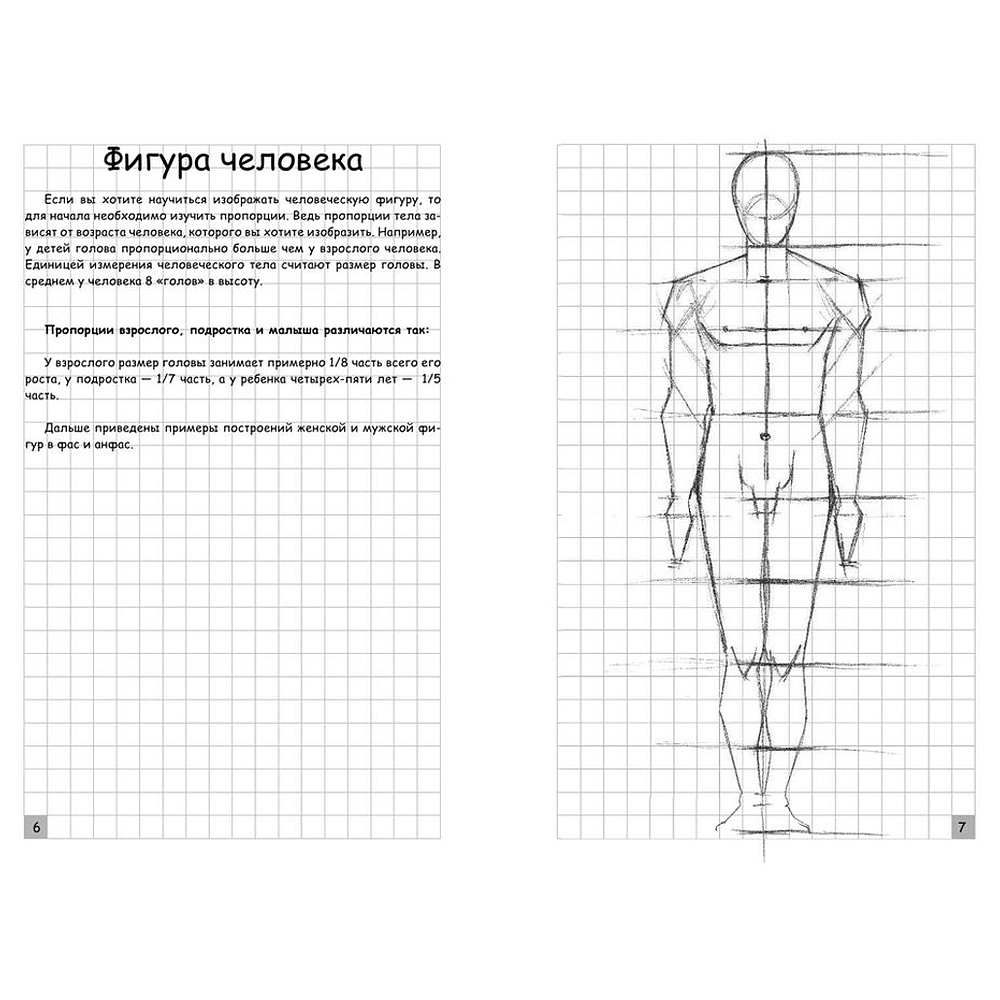 Книга "Творческий курс по рисованию. Анатомия человека", Мистер Грей - 4