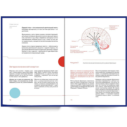Книга "Мозг и бизнес. Инструкция по применению", Андрей Курпатов - 5