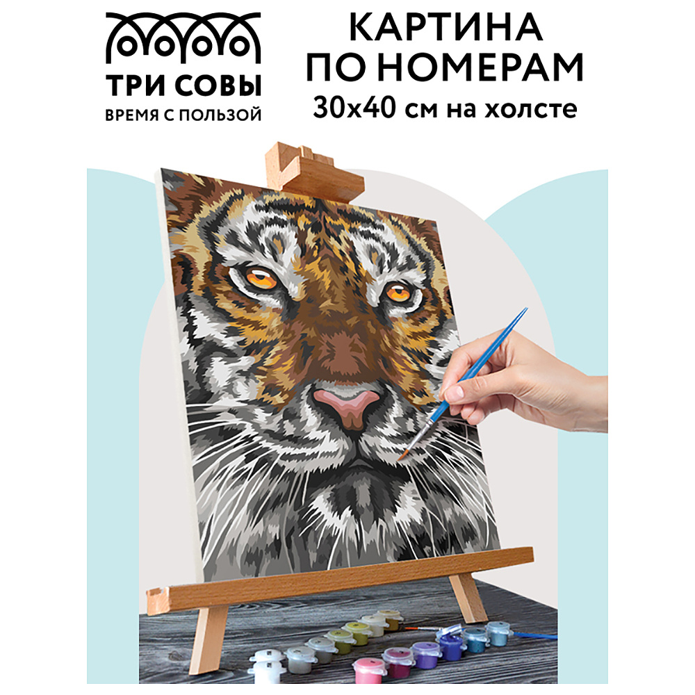 Картина по номерам "Тигриный взгляд" - 2