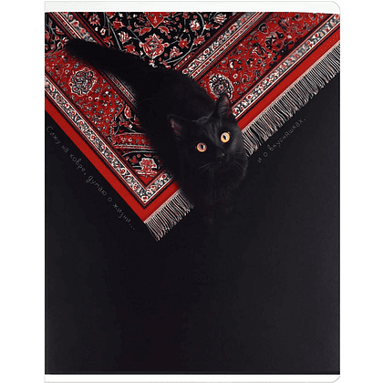 Тетрадь "Коты и ковры", А5, 48 листов, клетка, ассорти - 3