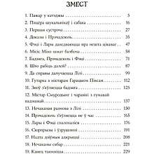 Книга "Таямніца пажару ў катэджы", Энід Блайтан