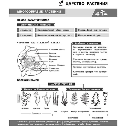 Книга "Биология в инфографике", Оксана Мазур - 10