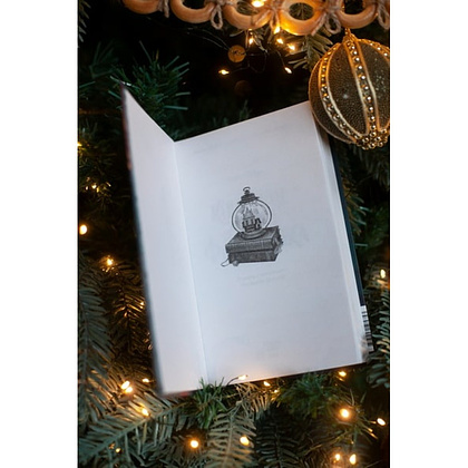 Книга "Книжная лавка фонарщика", Софи Остин - 4