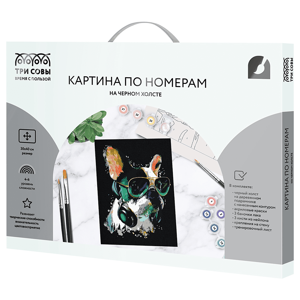 Картина по номерам "Меломан"
