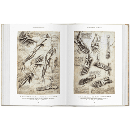 Книга на английском языке "Leonardo da Vinci. The Complete Drawings", Johannes Nathan - 7