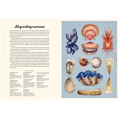 Книга "Океанариум. Иллюстрированная энциклопедия", Триник Л. - 5