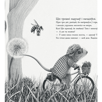 Книга "Мышаня Ціп і мышаня Тап", П'юміні Р. - 3