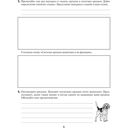 Книга "Биология. 8 класс. Рабочая тетрадь", Лисов Н. Д. - 3