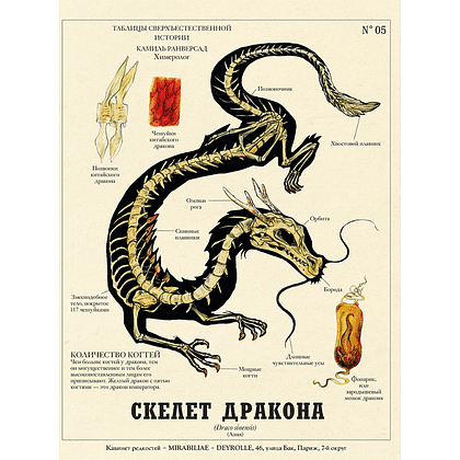 Книга "Подлинные истории фантастических существ", Жан-Батист де Панафьё, иллюстрации Камиль Ранверсад - 10