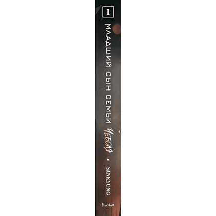 Книга "Младший сын семьи чеболя. Новелла. Том 1", Sankyung - 2