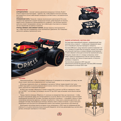 Книга "Семейная энциклопедия. Формула-1", Наталья Фабричнова - 8