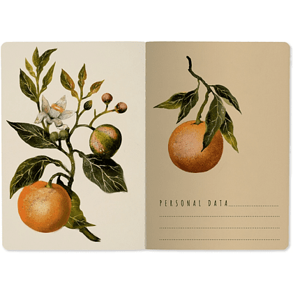 Тетрадь "Flora. Paradise. Oranges", A5, 40 листов, клетка, софт, зеленый, оранжевый - 3