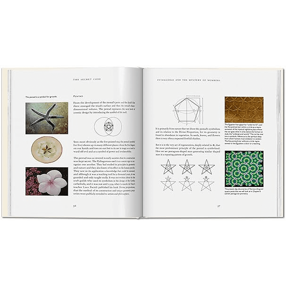 Книга на английском языке "The Secret Code. The Mysterious Formula That Rules Art, Nature, and Science", Priya Hemenway - 4