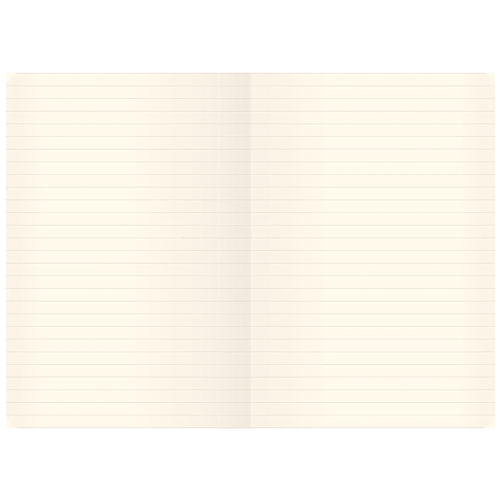 Книга записная "Soft Touch. Угольный черный", А5, 80 листов, черный - 4