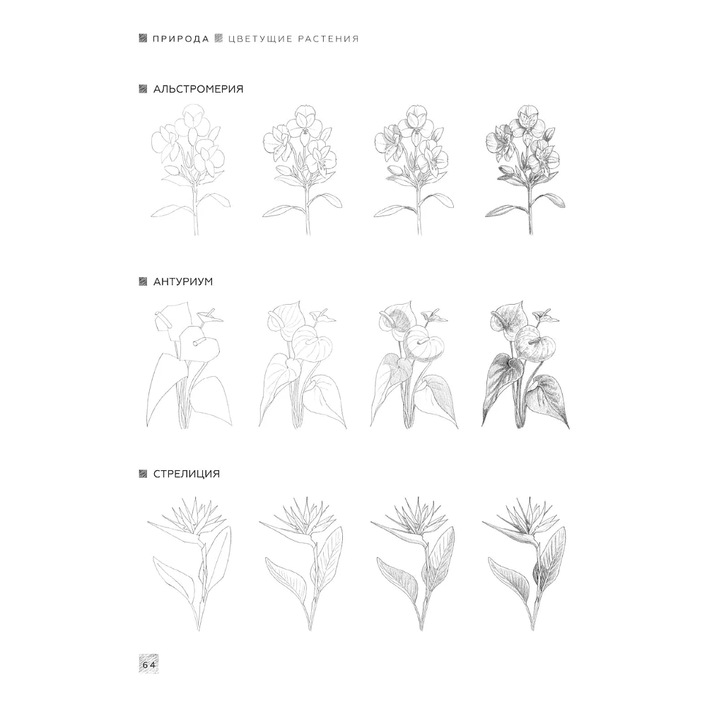 Книга "Энциклопедия рисования и скетчинга. Энциклопедия скетчинга. Более 900 проектов" - 10