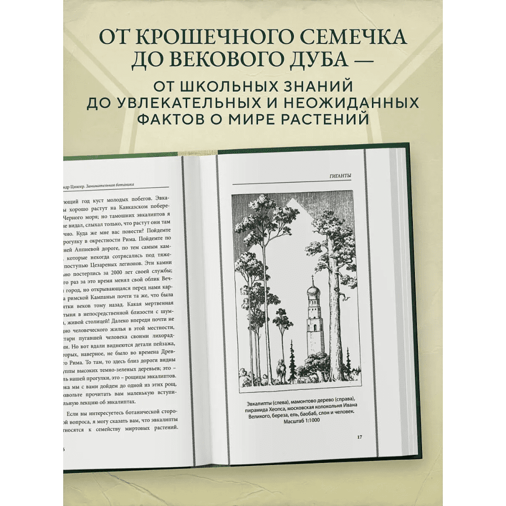Книга "Советские учебники. Занимательная ботаника", Александр Цингер - 4