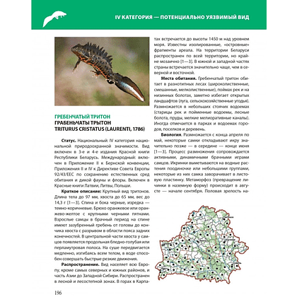 Книга "Красная книга Республики Беларусь. Животные" - 10