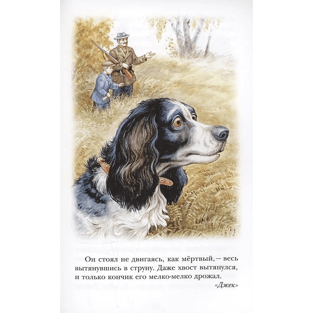 Книга "Детское чтение. Лесной голосок. Рассказы", Георгий Скребицкий - 7