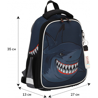 Рюкзак школьный "Ergo Light. Shark", синий, серый - 2