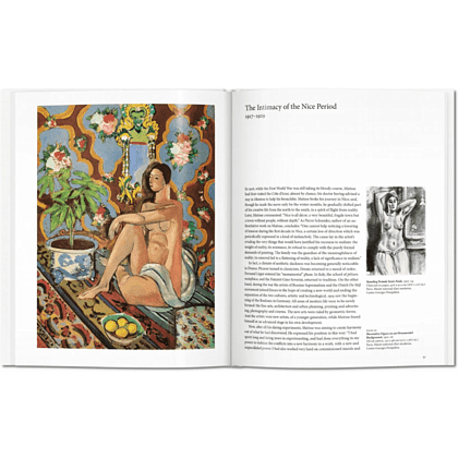 Книга на английском языке "Basic Art. Matisse"  - 3