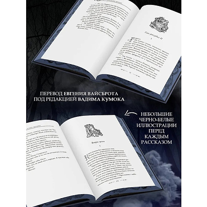 Книга "Ведьмак. Последнее желание" (Подарочное издание), Анджей Сапковский - 8