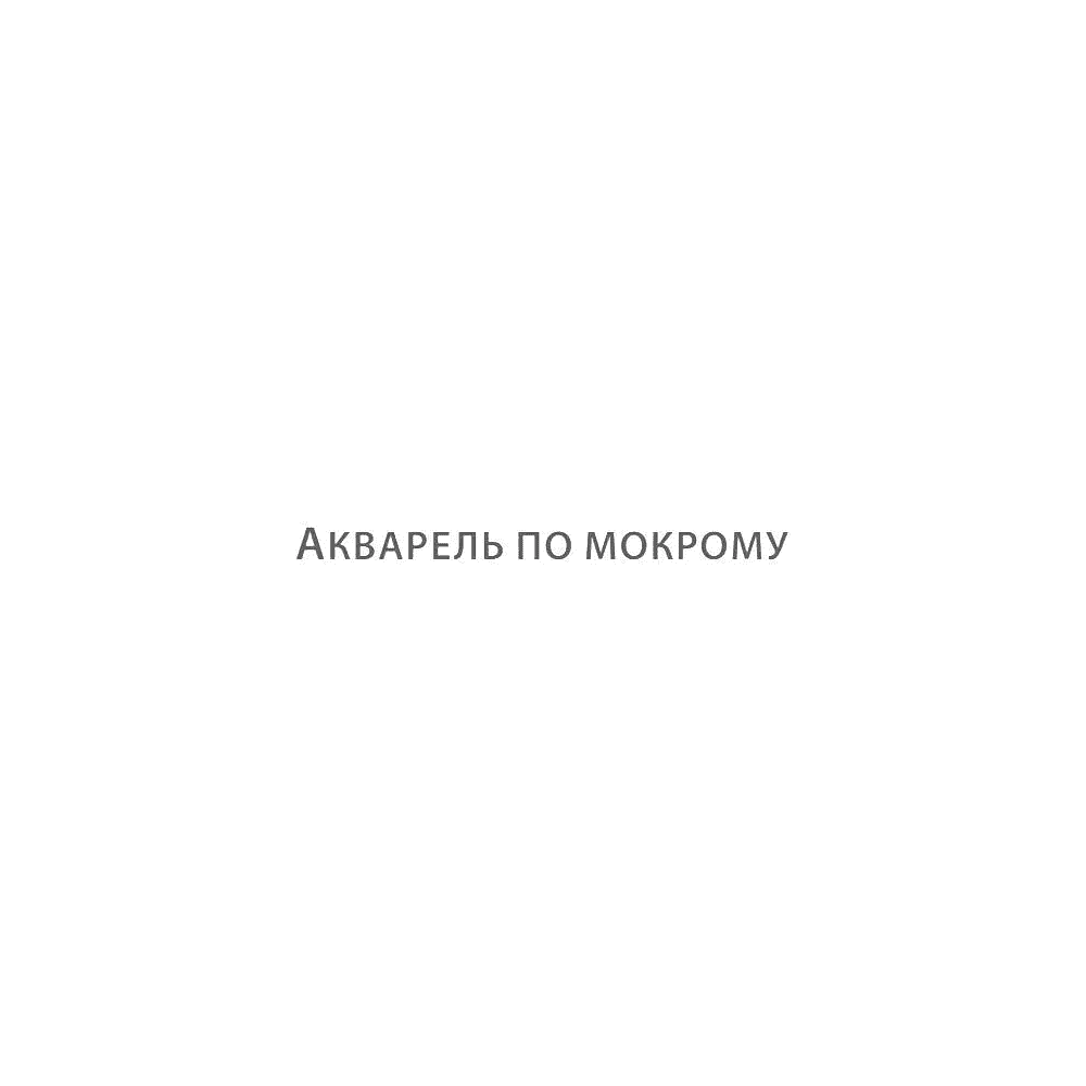 Книга "Мастерская художника. Акварельная техника по-мокрому", Наталья Перевалова - 2