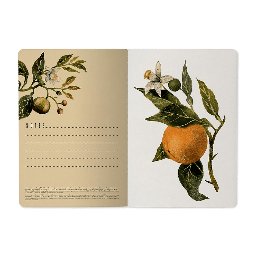 Тетрадь "Flora. Paradise. Oranges", A5, 40 листов, клетка, софт, зеленый, оранжевый - 5