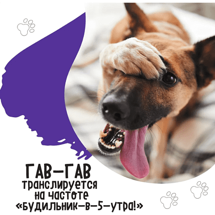 Календарь настенный перекидной "А кто у нас такой красивый?" на 2026 год - 4