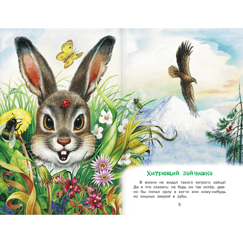 Книга "Библиотека начальной школы. Лесные сказки", Николай Сладков - 5