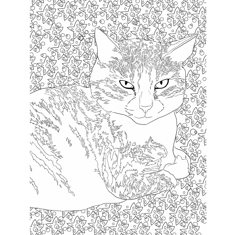 Раскраска "Раскраска Кототерапия. Котики, которые успокаивают", Анастасия Токарева - 6