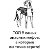 Книга "Без ошейника. Как воспитать счастливую собаку без вредных мифов и наказаний", Елизавета Дмитриева - 11