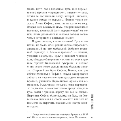 Книга "София возвращалась домой", Наринэ Абгарян - 6