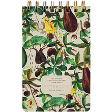 Блокнот Bruno Visconti "Cute Journal. Баобаб", В6, 100 листов, в линейку, разноцветный