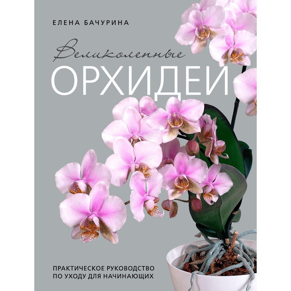 Книга "Великолепные орхидеи. Практичное руководство по уходу для начинающих", Бачурина Е. 