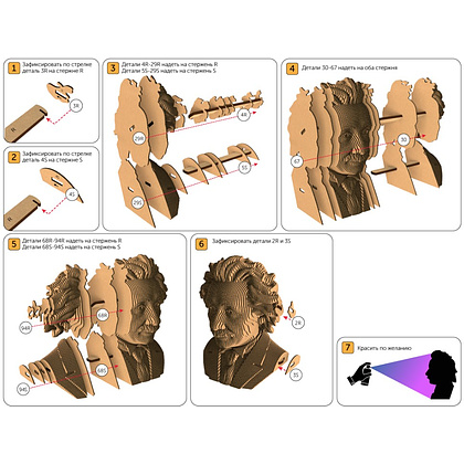Пазл картонный 3D "Бюст Альберт Эйнштейн" - 4