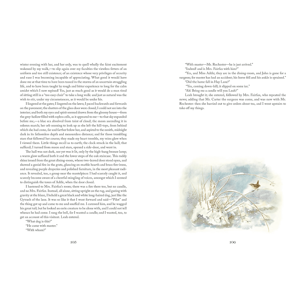 Книга на английском языке "Jane Eyre: Illustr  by Marjolein Bastin", Charlotte Bronte - 2