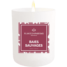 Свеча ароматическая PLANTES&PARFUMS "Wild Berries", 180 гр