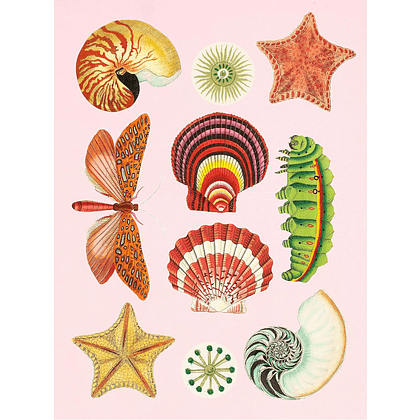 Книга на английском языке "The Antiquarian Sticker Book: An Illustrated Compendium of Adhesive Ephemera", Odd Dot - 7