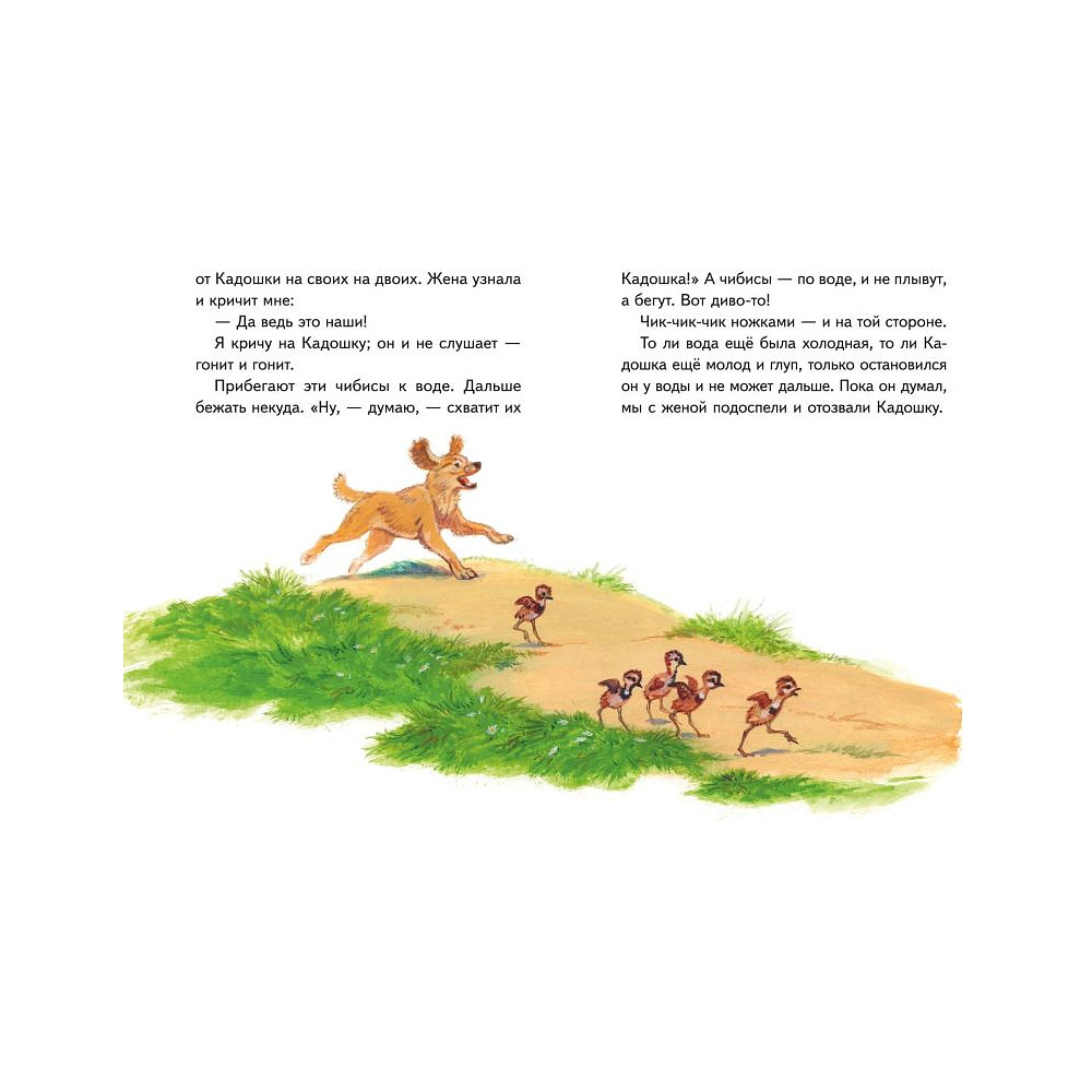Книга "Книги для внеклассного чтения. Рассказы о природе (ил. С. Ярового)", Михаил Пришвин - 3