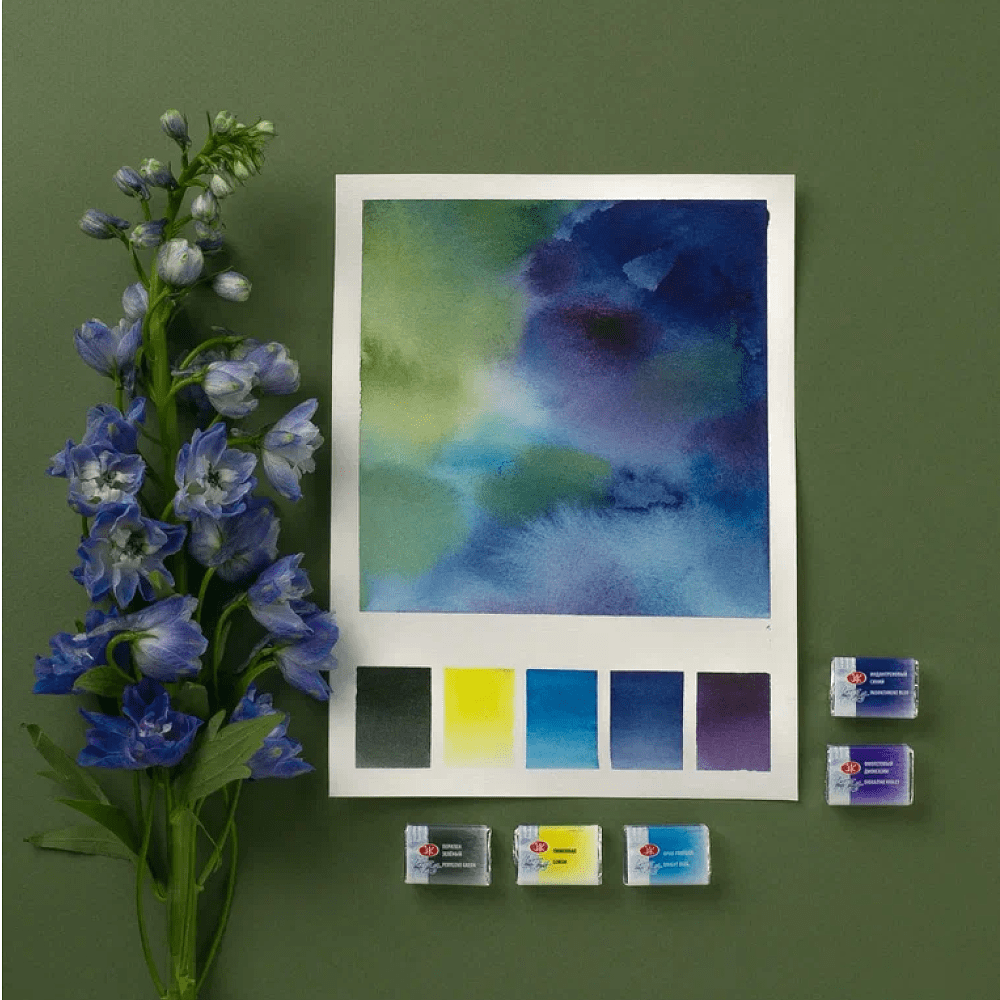 Краски акварельные "Белые ночи Ботанический атлас", набор 12 цветов, кюветы - 11