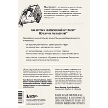 Книга "Краткая история интеллекта. Эволюция, ИИ и пять прорывов, изменивших наш мозг", Макс Беннетт