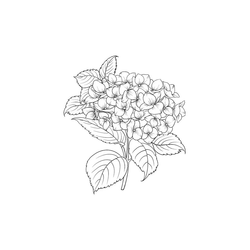 Раскраска антистресс "Уникальные цветы" - 7