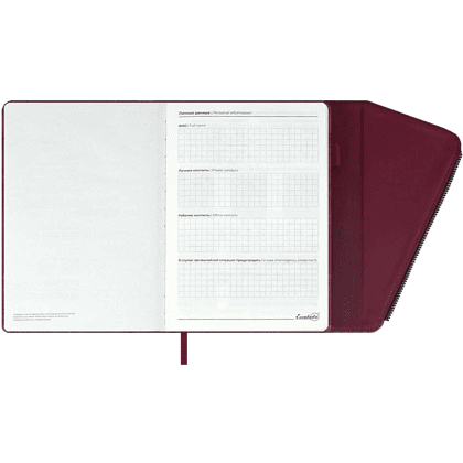 Ежедневник недатированный "Спилок Делавэ", А5, 320 страниц, бордовый - 3
