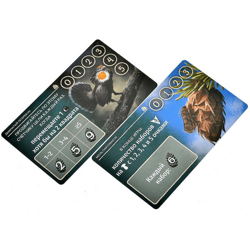 Игра настольная "Грибы и корни: Шёпот леса" - 5