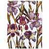 Блокнот "Flora. Ирисы", A6, 250 листов, нелинейный, склейка сверху, белый, розовый - 2