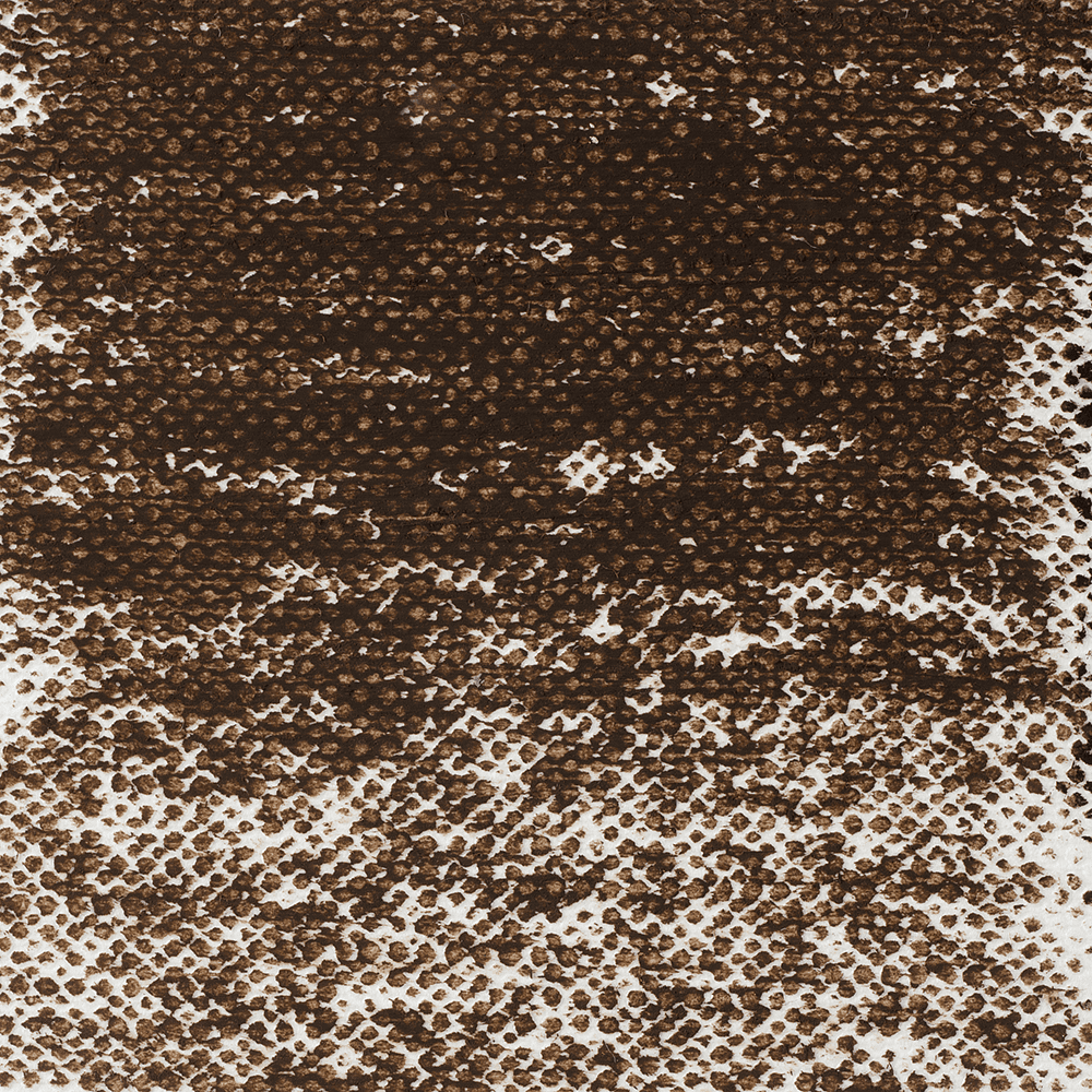 Пастель масляная "Van Gogh", 416.5 сепия - 2
