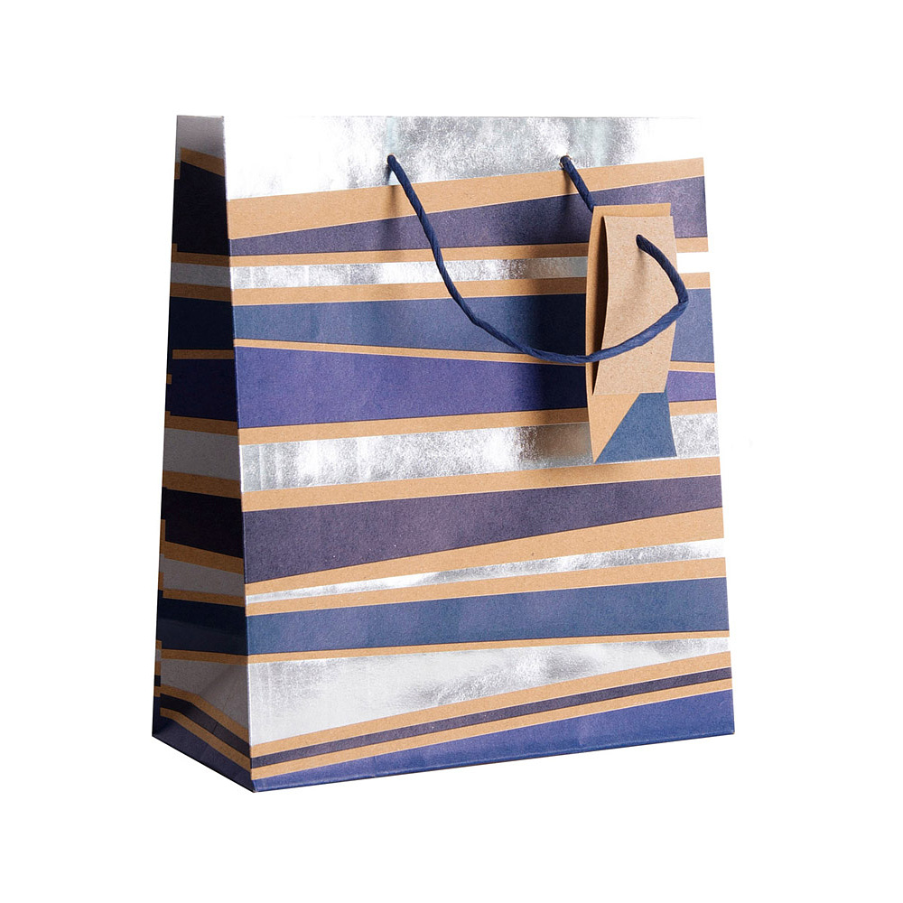 Пакет бумажный подарочный "Male stripe", 21.5x10.2x25.3 см