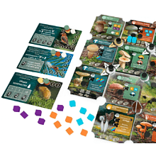 Игра настольная "Грибы и корни"