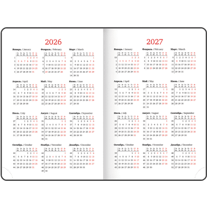 Ежедневник датированный "Control" 2026, А5, 336 страниц, синий - 3