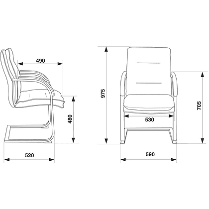 Кресло на полозьях "Бюрократ T-9927SL-LOW-V", натуральная кожа, черный, металл хром - 5